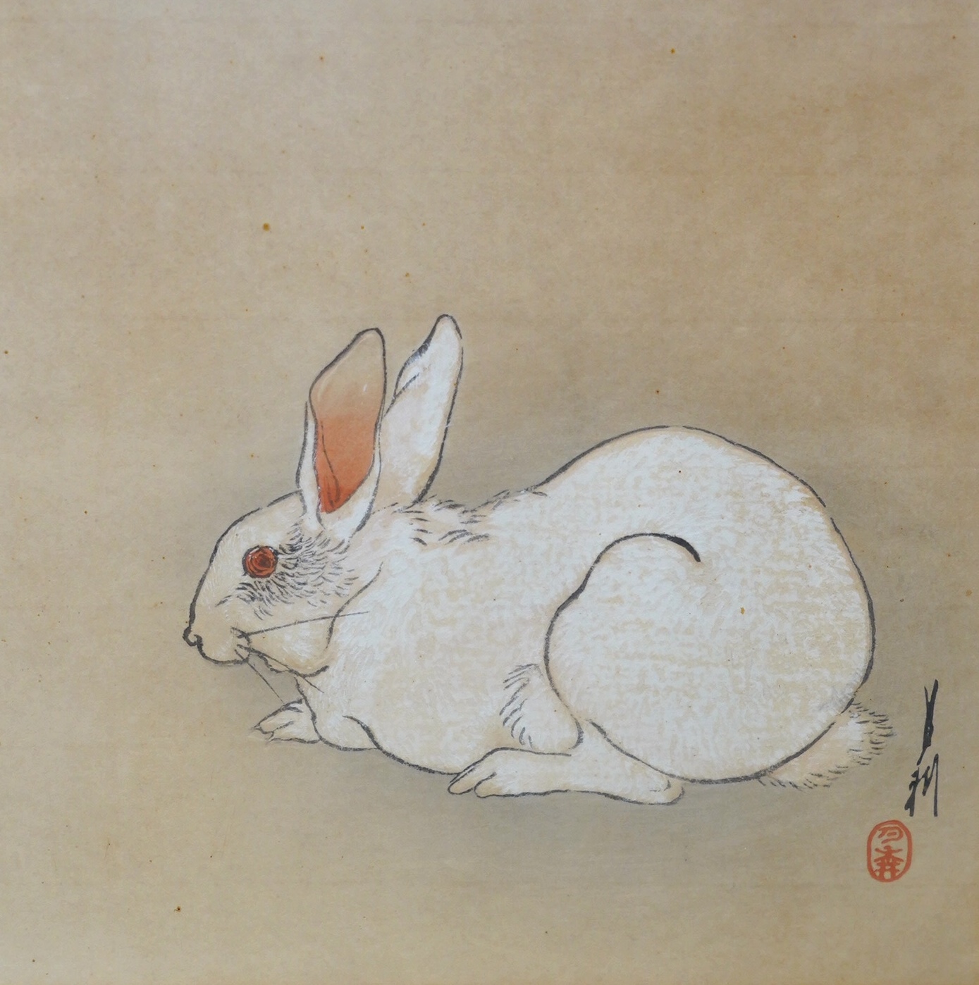 Japanese School, mixed media and watercolour, Study of a rabbit, with character marks and red seal mark, 22.5 x 22.5cm. Condition - poor to fair